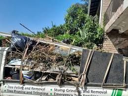 Best Yard Waste Removal  in Lake City, SC