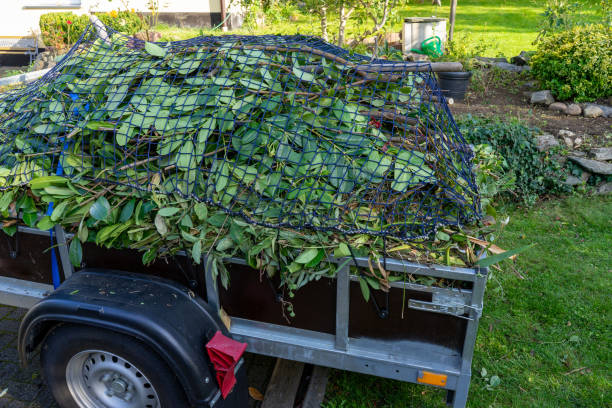 Best Same-Day Junk Removal Services  in Lake City, SC